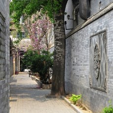 Hutong walk, Beijing