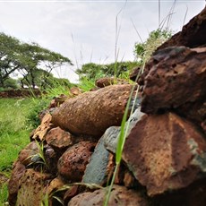 Cannon Kopje - Mahikeng