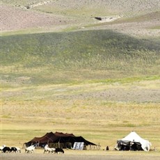 Between Doğubayazit and Diyadin
