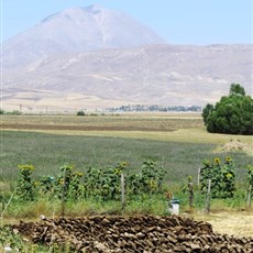 Between Ağri and Eleşkirt