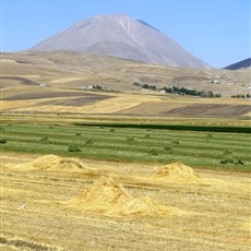 Between Ağri and Eleşkirt