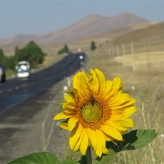 Between Eleşkirt and Horasan