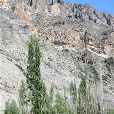 Between Erzurum and Barhal