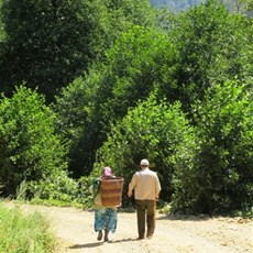 Barhal