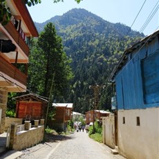 Barhal