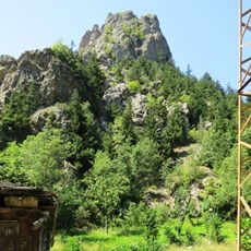 Barhal