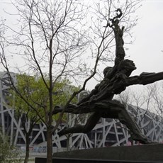 Bird's Nest - Beijing Olympics Park