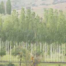 Between Çavdir and Korkuteli