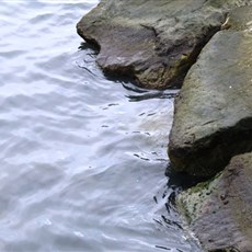 Akçaabat on Black Sea