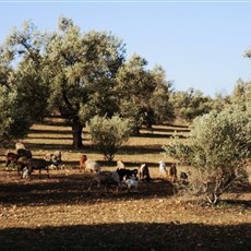 Ounagha to Sidi Mokhtar