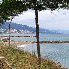 Between Tirebolu and Giresun