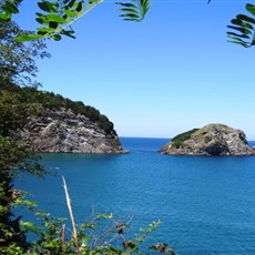 Between Perşembe and Fatsa