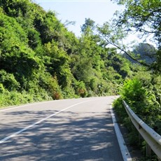 Between Perşembe and Fatsa