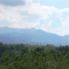 Between Samsun and Alaçam