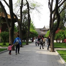 Stele Forest museum - Confucius temple grounds