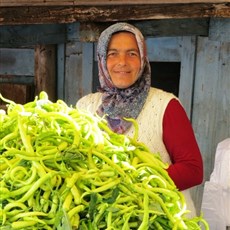 Kurucaşile market