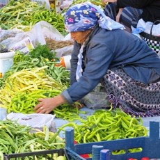 Kurucaşile market