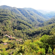 Between Kurucaşile and Amasra