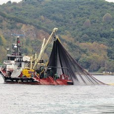 Bosphorus ferry tour