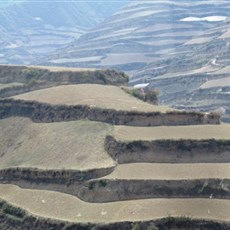 Between Lanzhou and Xiahe - potato terraces