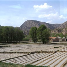 Between Lanzhou and Xiahe - plastic fields 