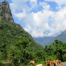 Between Vang Vieng and Kasi