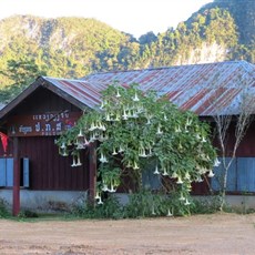 Namkene police station