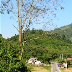 Between Ban Nammiang and Muang La