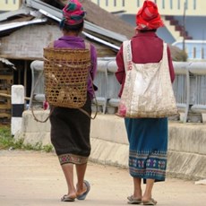 Between Muang Mai and Panghok border