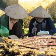 Dien Bien Phu market