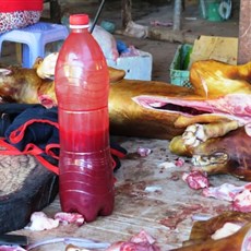 Dien Bien Phu market