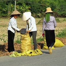 Between Dien Bien Phu and Tuan Giao