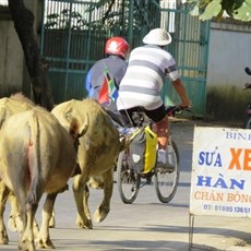 Between Dien Bien Phu and Tuan Giao