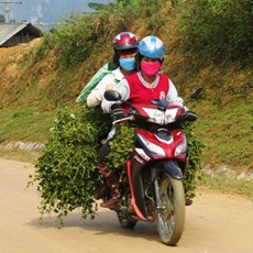 Between Tuan Giao and Muong Giang