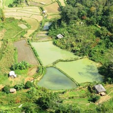 Between Tuan Giao and Muong Giang