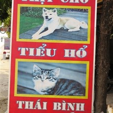 Dog / cat eatery