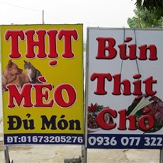 Dog / cat eatery