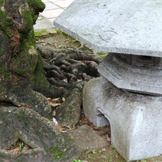 Thien Mu Pagoda