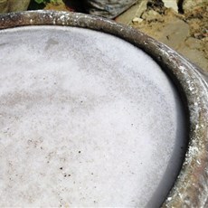 Making crisp bread