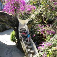 Crazy House - Dalat
