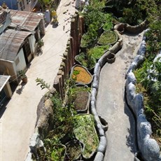 Crazy House - Dalat