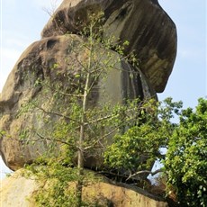 Dinh Quan rocks