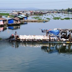 Tri An lake