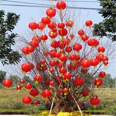 Between Ben Tre and Ben Luc