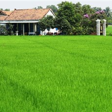 Between Ben Tre and Ben Luc