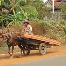 Between Skun and Kampong Thom
