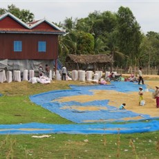 Between Kampong Thom and Kampong Kdei