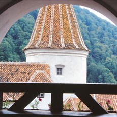 Bran castle