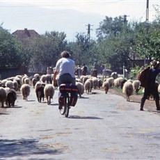 Maramures valley