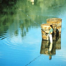 Maramures valley